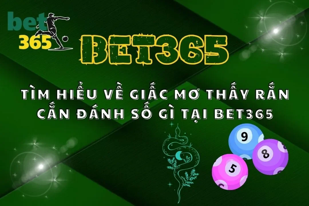 Tìm Hiểu Về Giấc Mơ Thấy Rắn Cắn Đánh Số Gì Tại Bet365