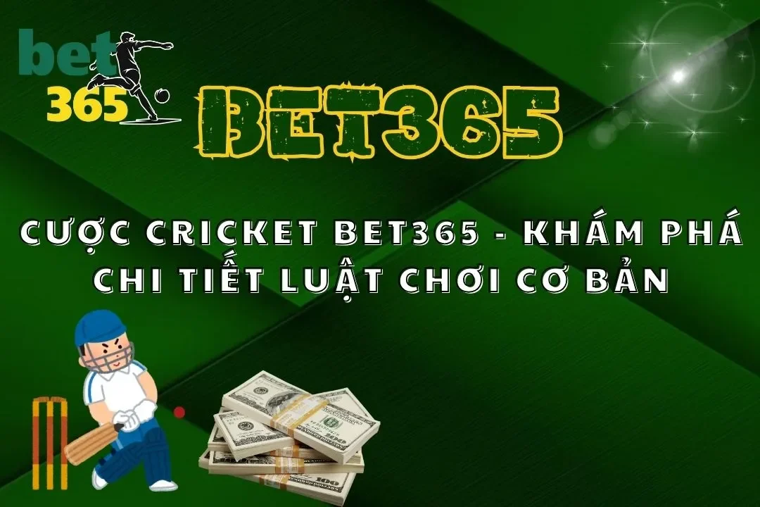 Cược Cricket Bet365 - Khám Phá Chi Tiết Luật Chơi Cơ Bản