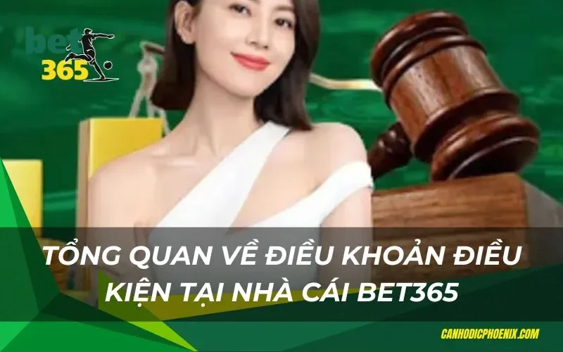 Quy định về điều khoản và điều kiện tại nhà cái